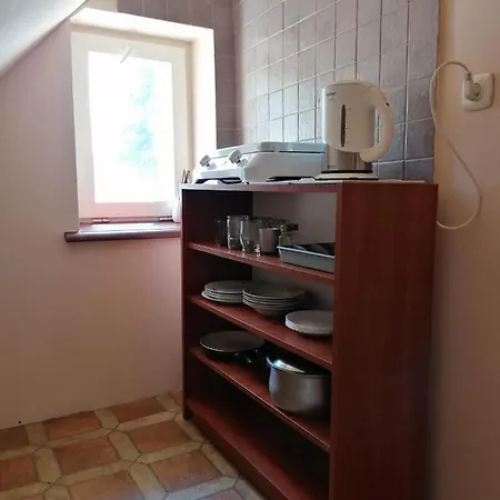 U Eli Проживание в семье